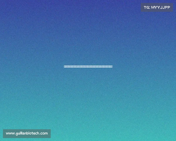 比赛注册制是什么意思—注册赛事智能化发展推动规模赛事高效管理新路径